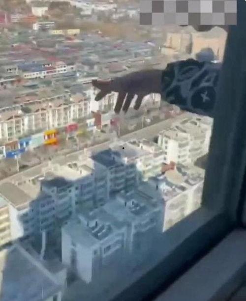 山西临汾一楼爆料视频最新,惊险瞬间引发社会关注